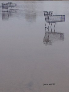 Shopping Trolleys